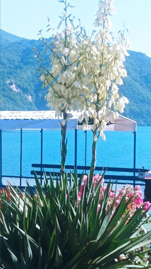 Dina Apartman Jablanicko Jezero Konjic Exterior foto